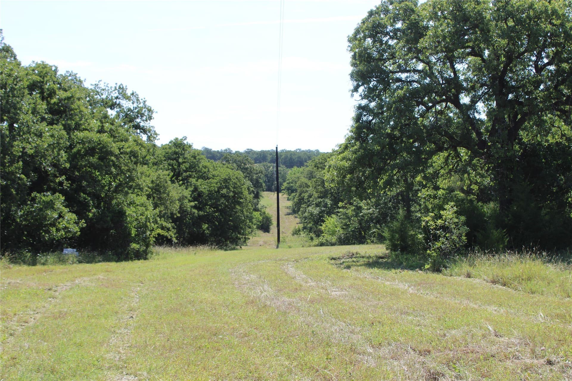 12 acres in Wise County - photo 2