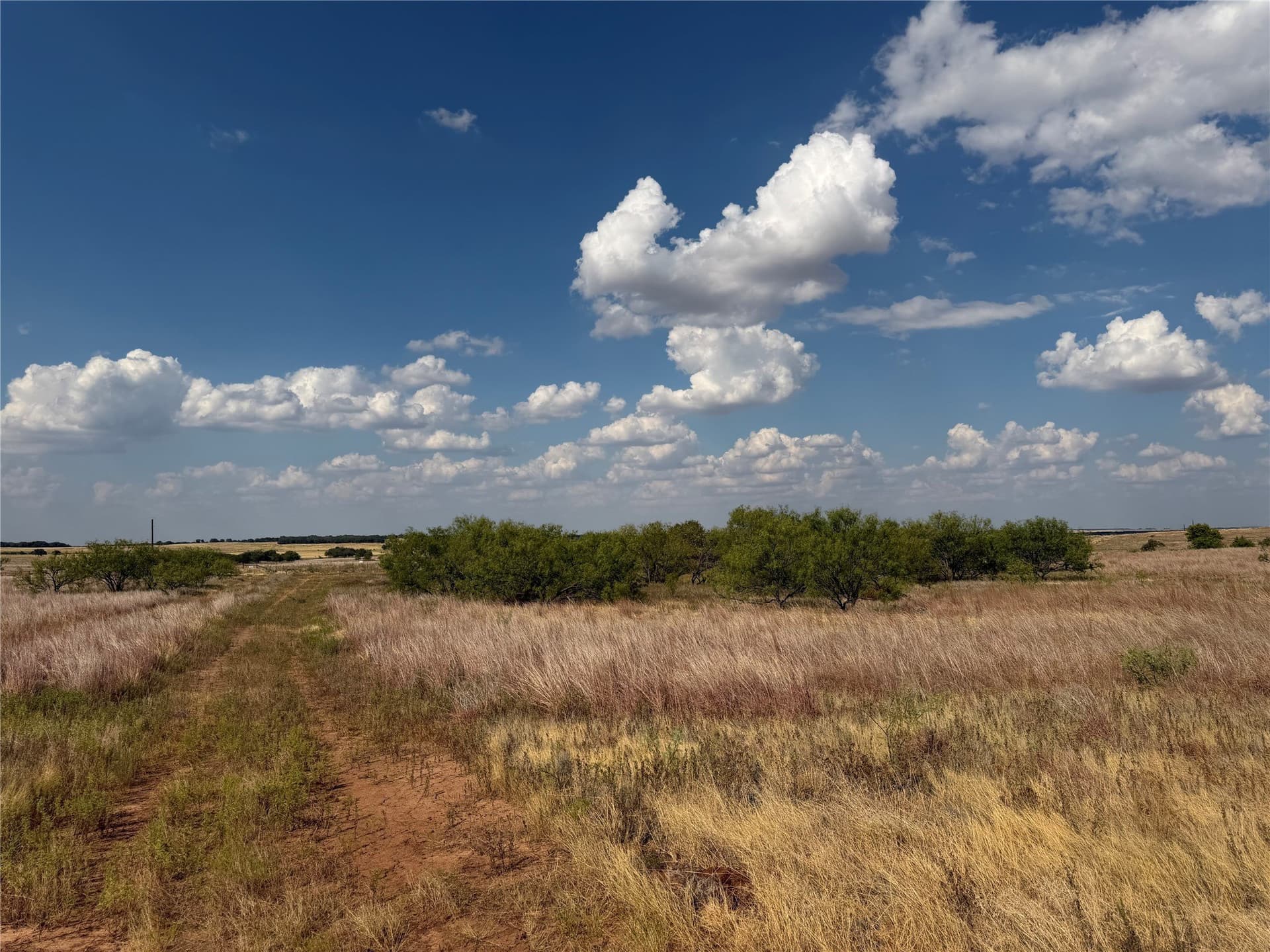 10.25 acres in Clay County - photo 18