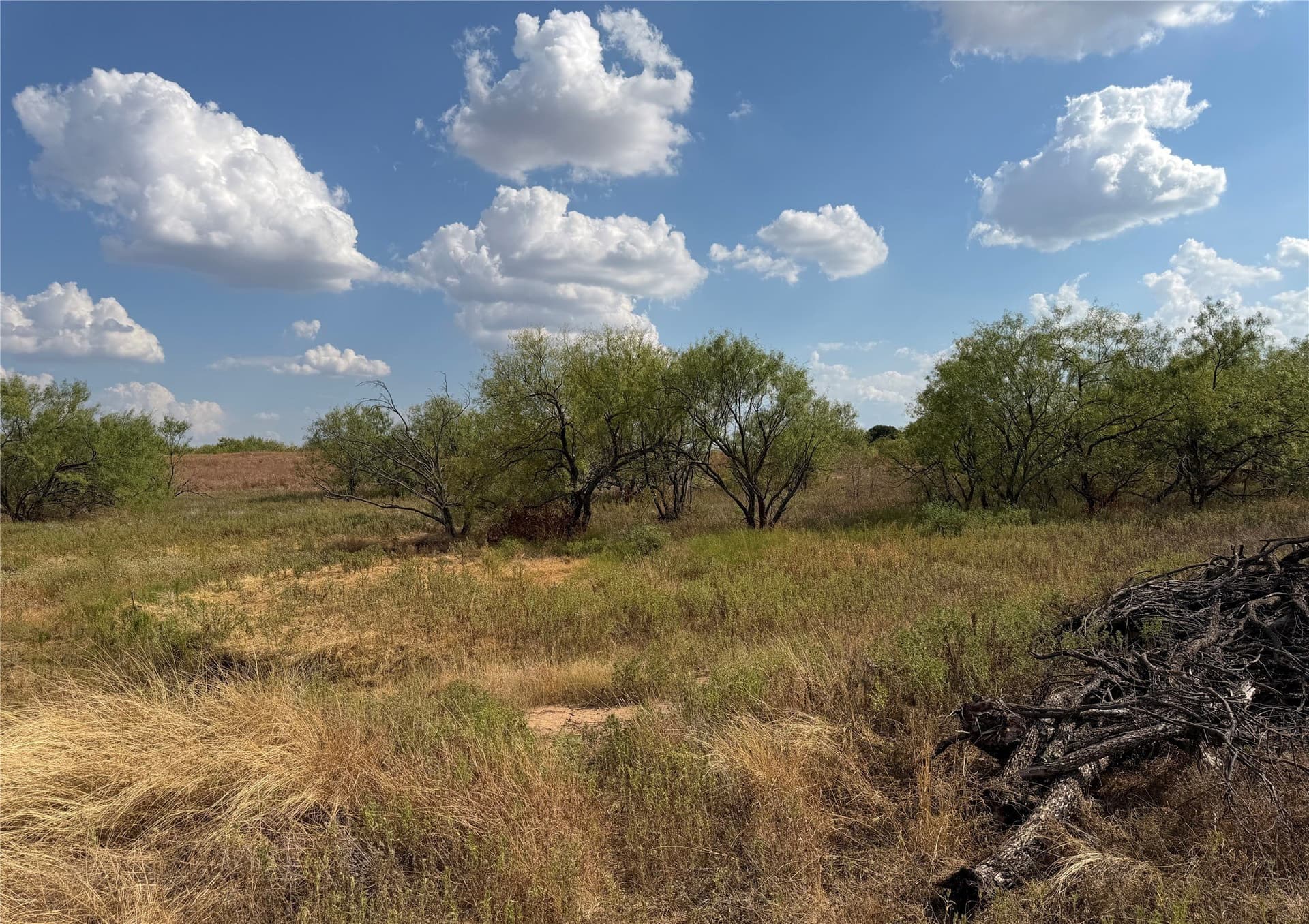 10.25 acres in Clay County - photo 5