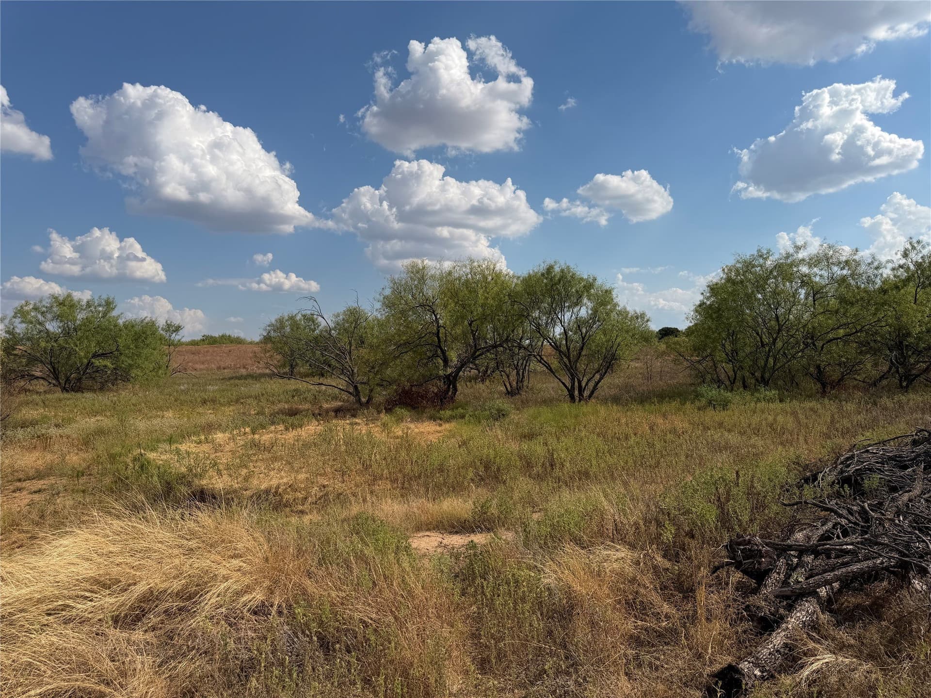 10.25 acres in Clay County - photo 14