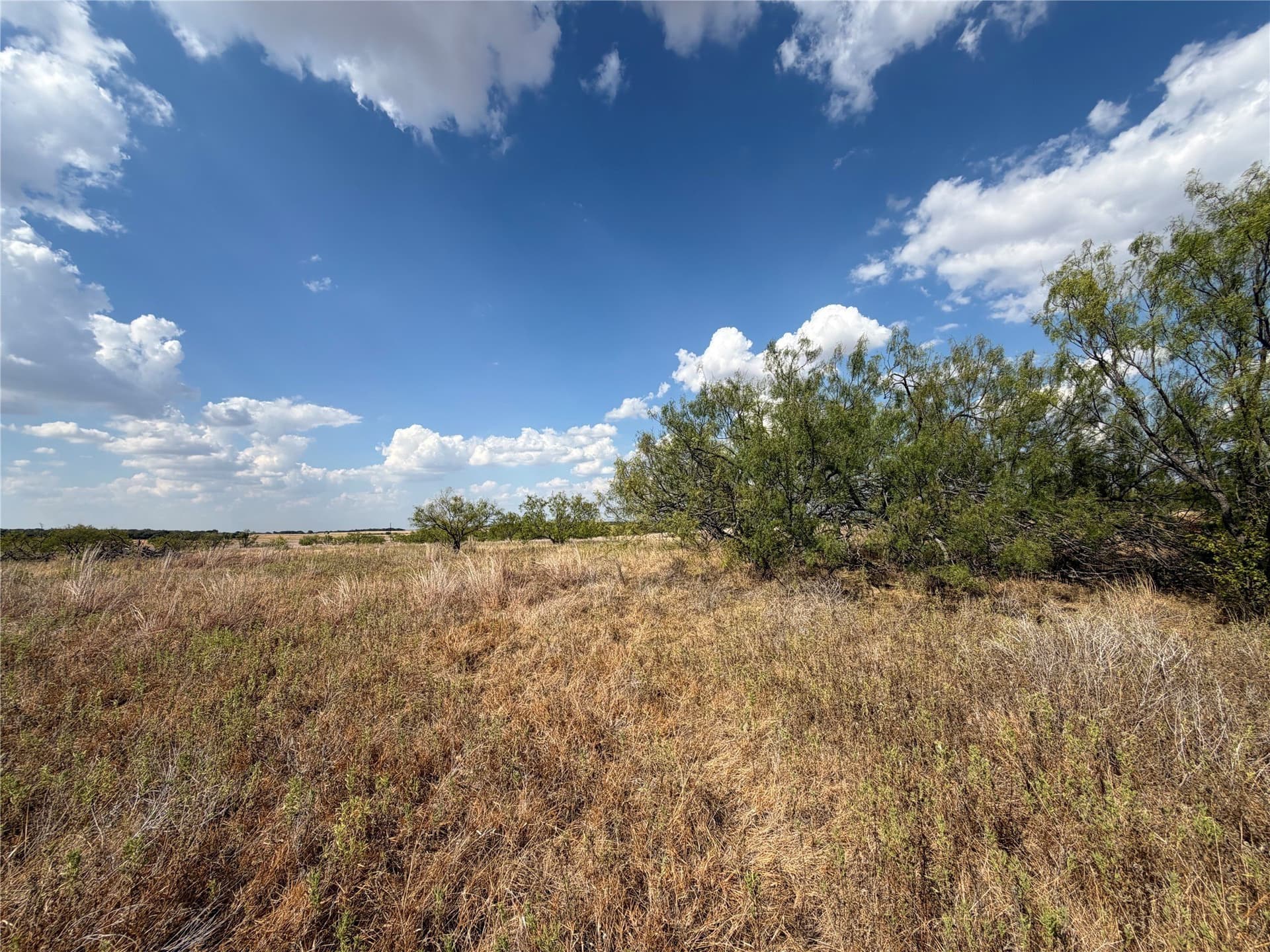 10.25 acres in Clay County - photo 15