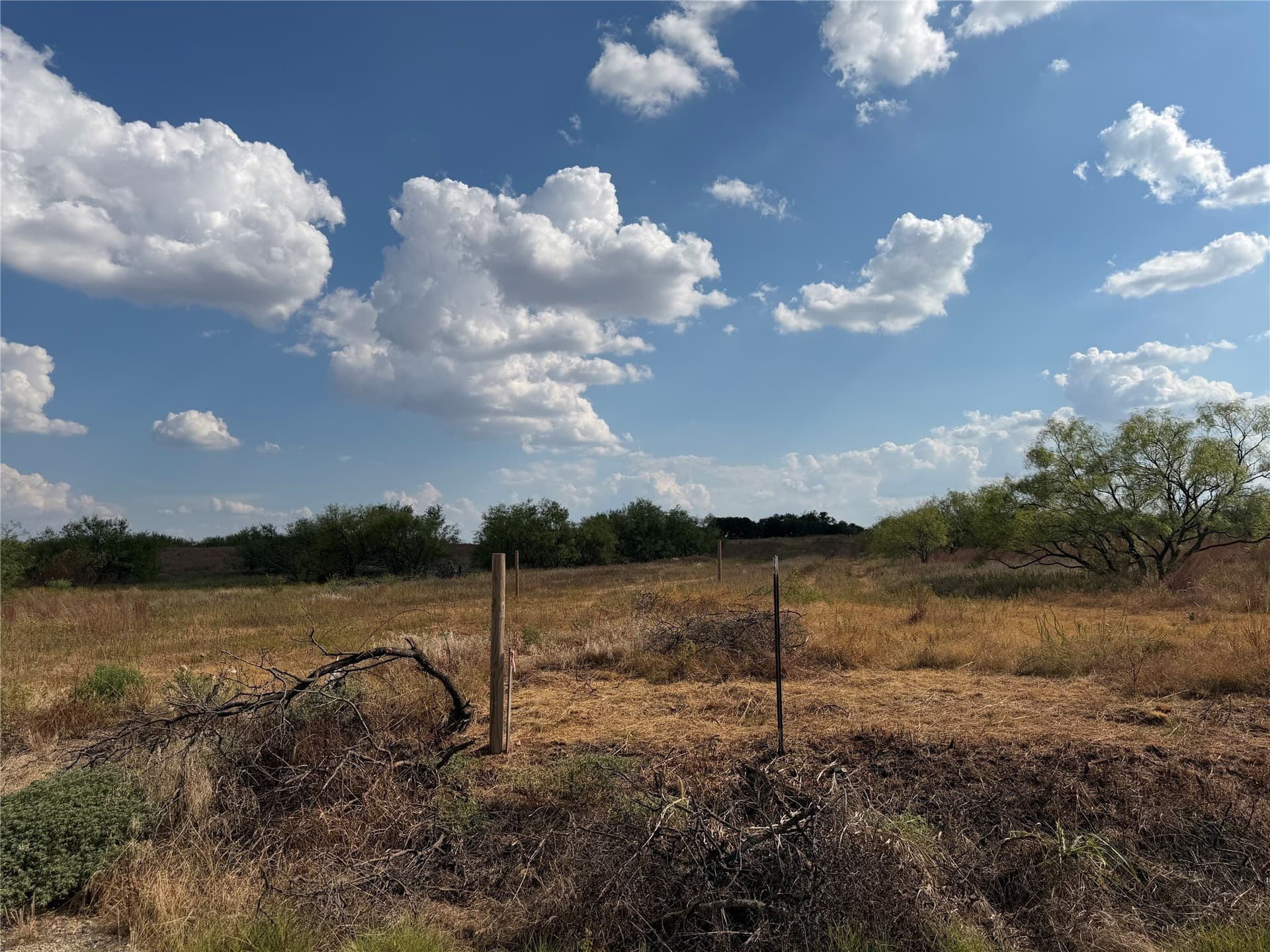 10.25 acres in Clay County - photo 6