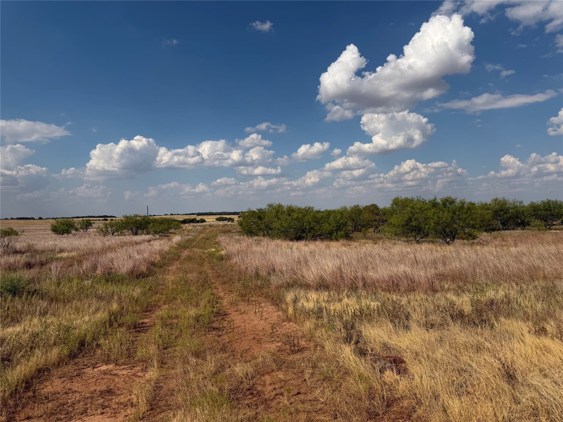 10.25 acres in Clay County - photo 16