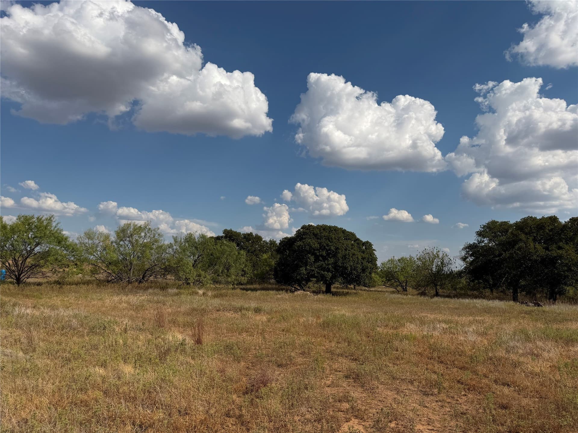 10.25 acres in Clay County - photo 9