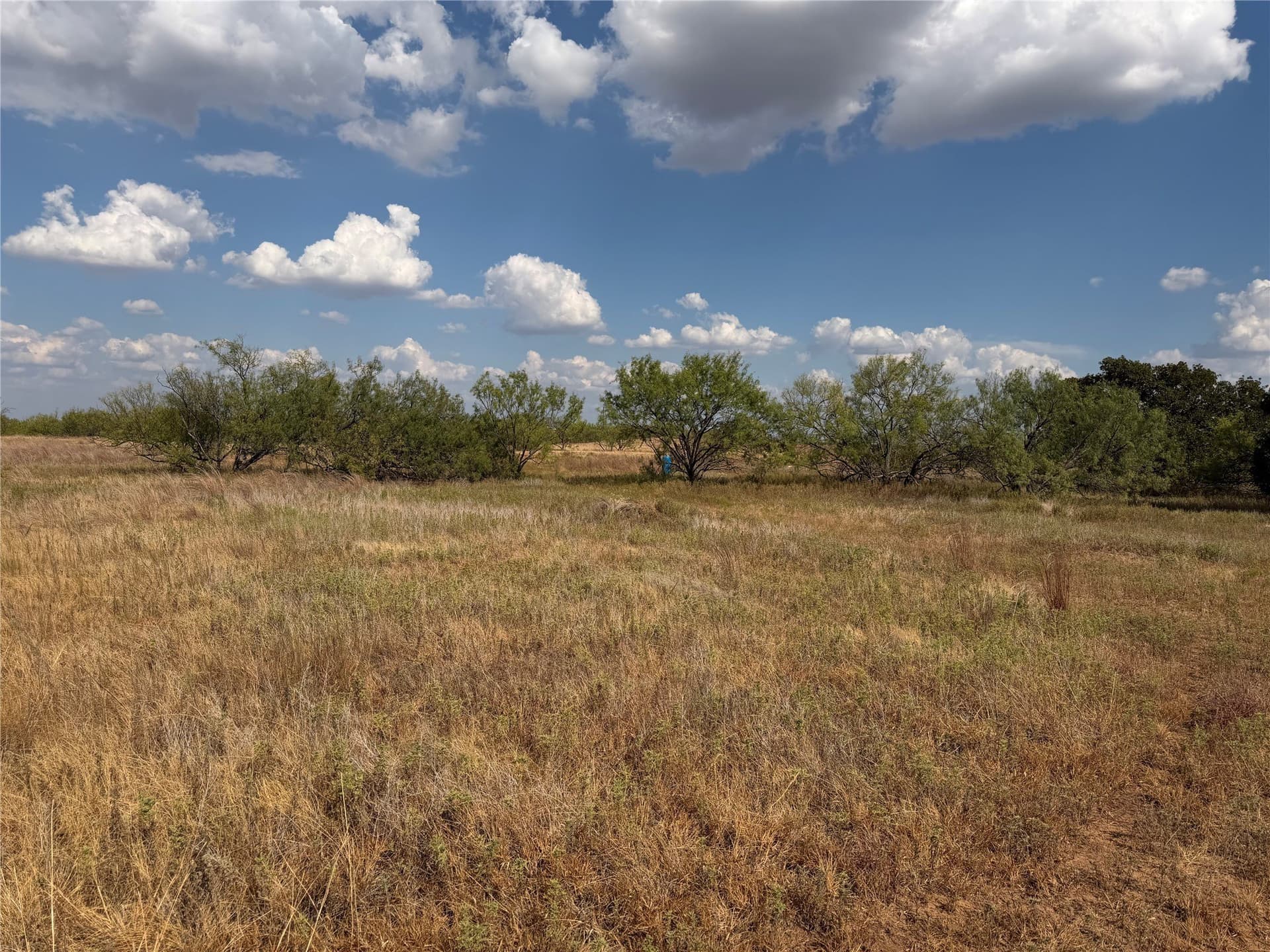 10.25 acres in Clay County - photo 10
