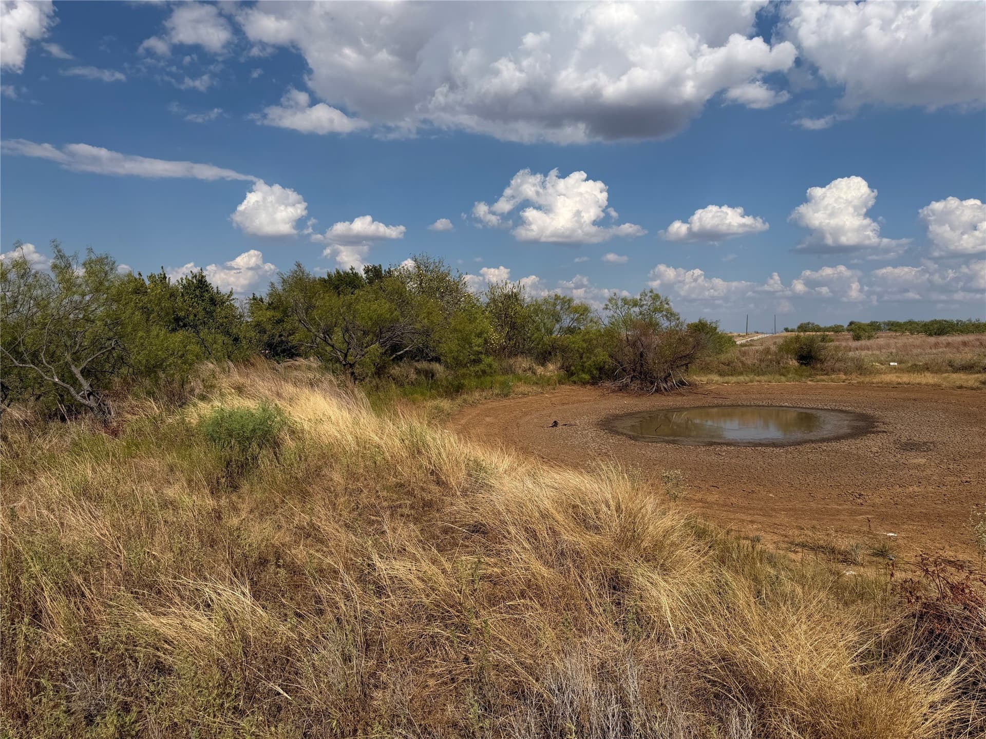 10.25 acres in Clay County - photo 4