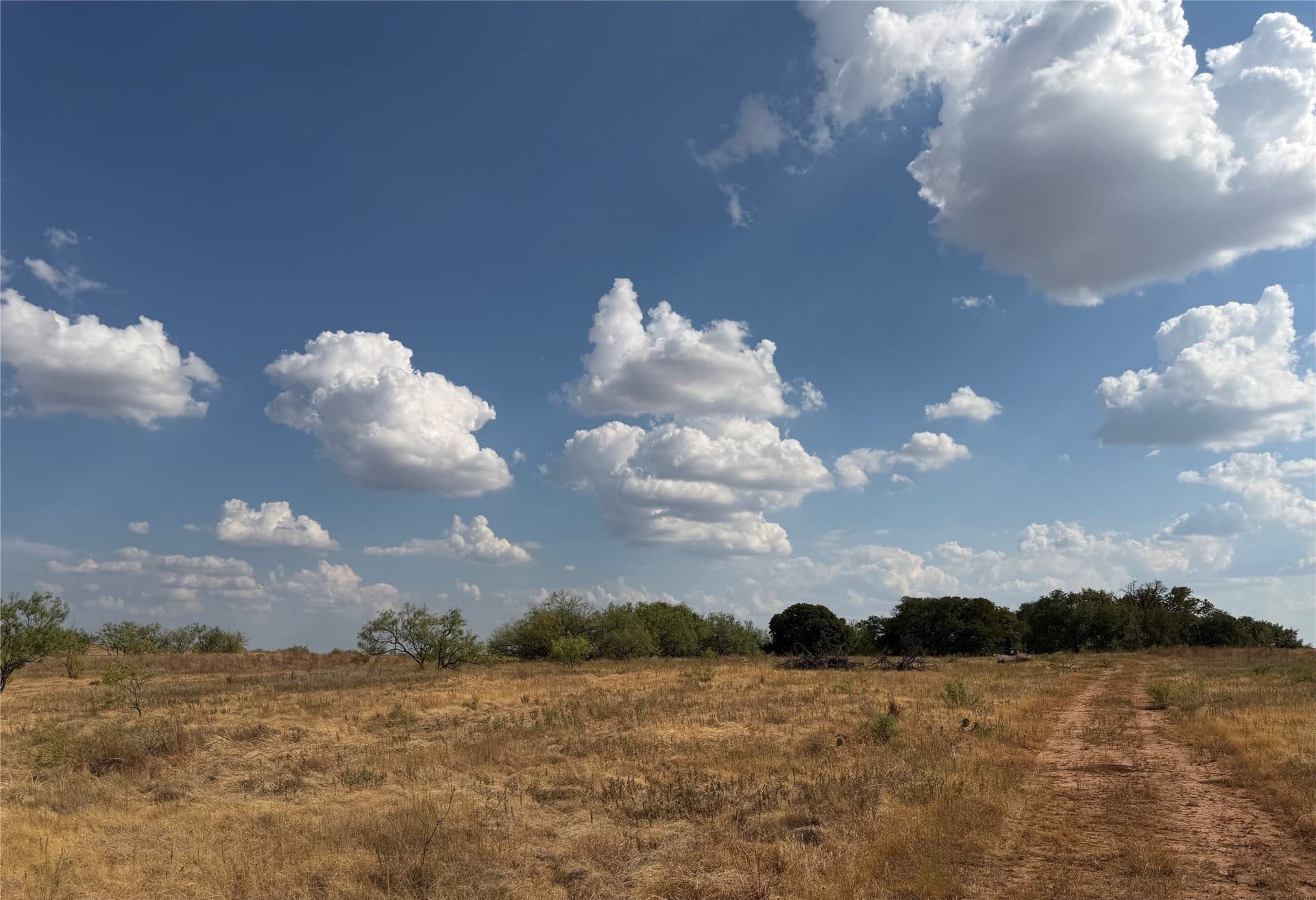 10.25 acres in Clay County - photo 17