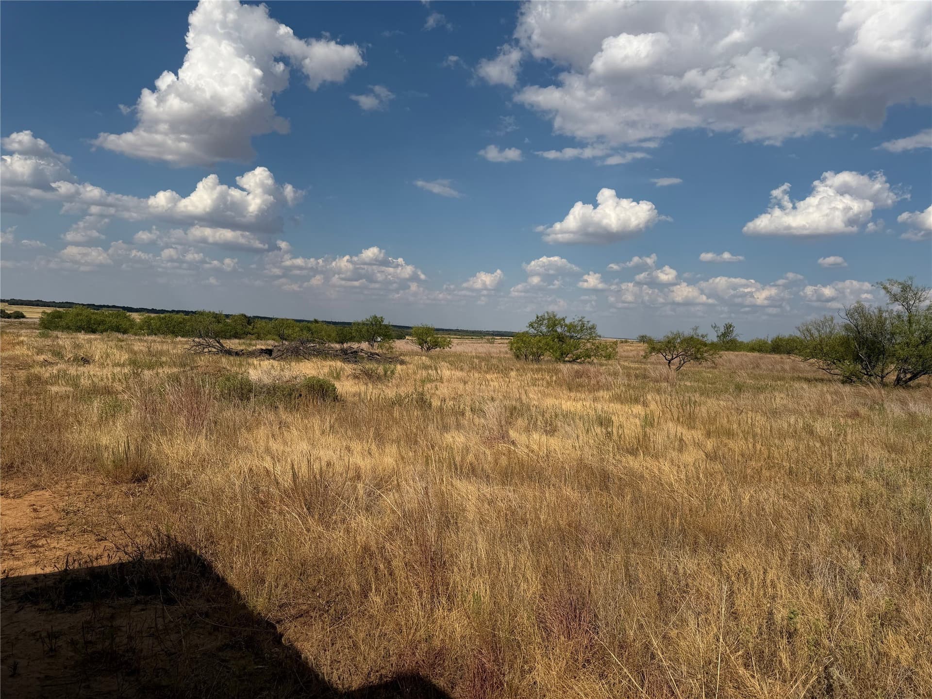 10.25 acres in Clay County - photo 11