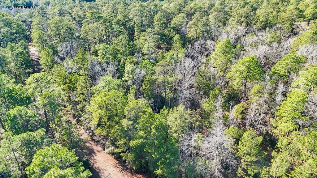 0.24 acres in Texas County gallery image 2