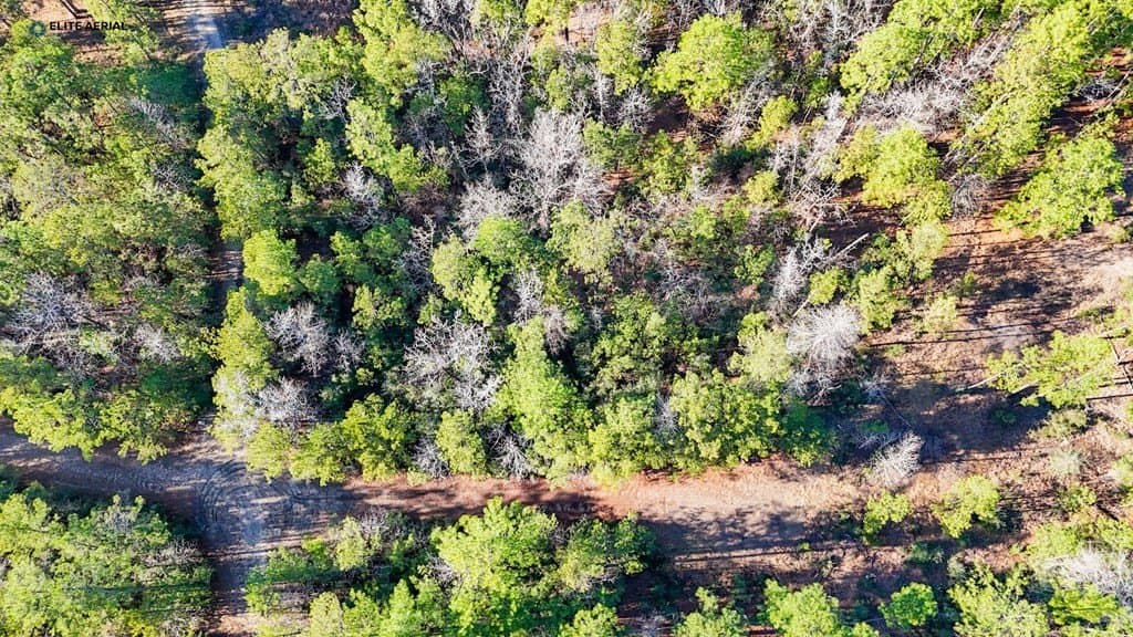 0.24 acres in Texas County gallery image 4