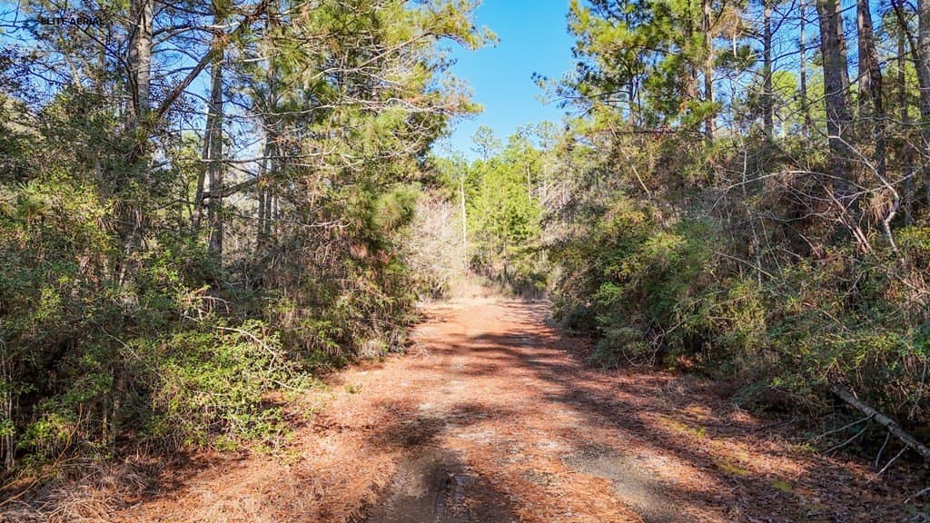 0.24 acres in Texas County gallery image 3