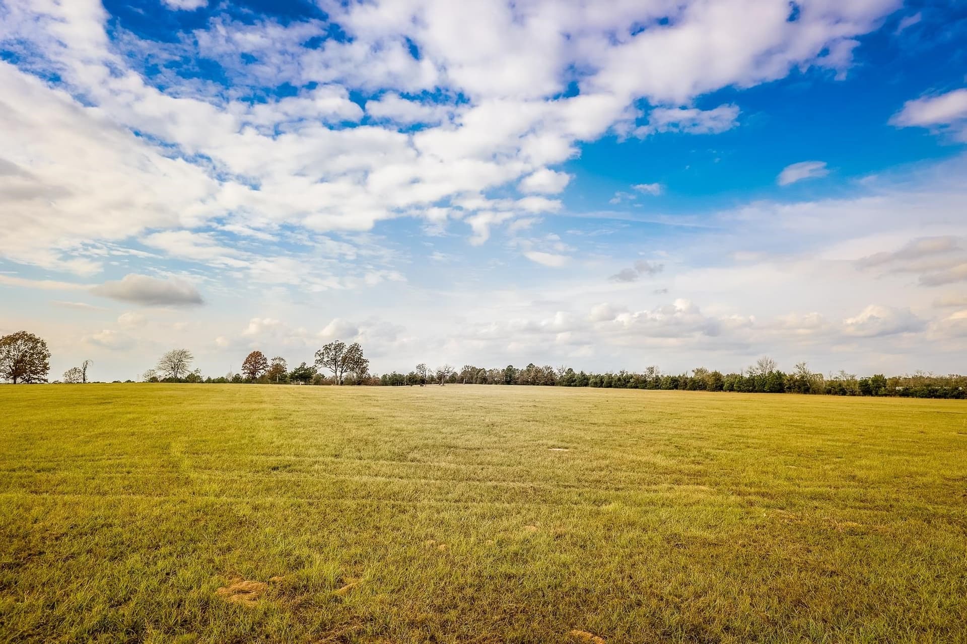 20 acres in Smith County featured view