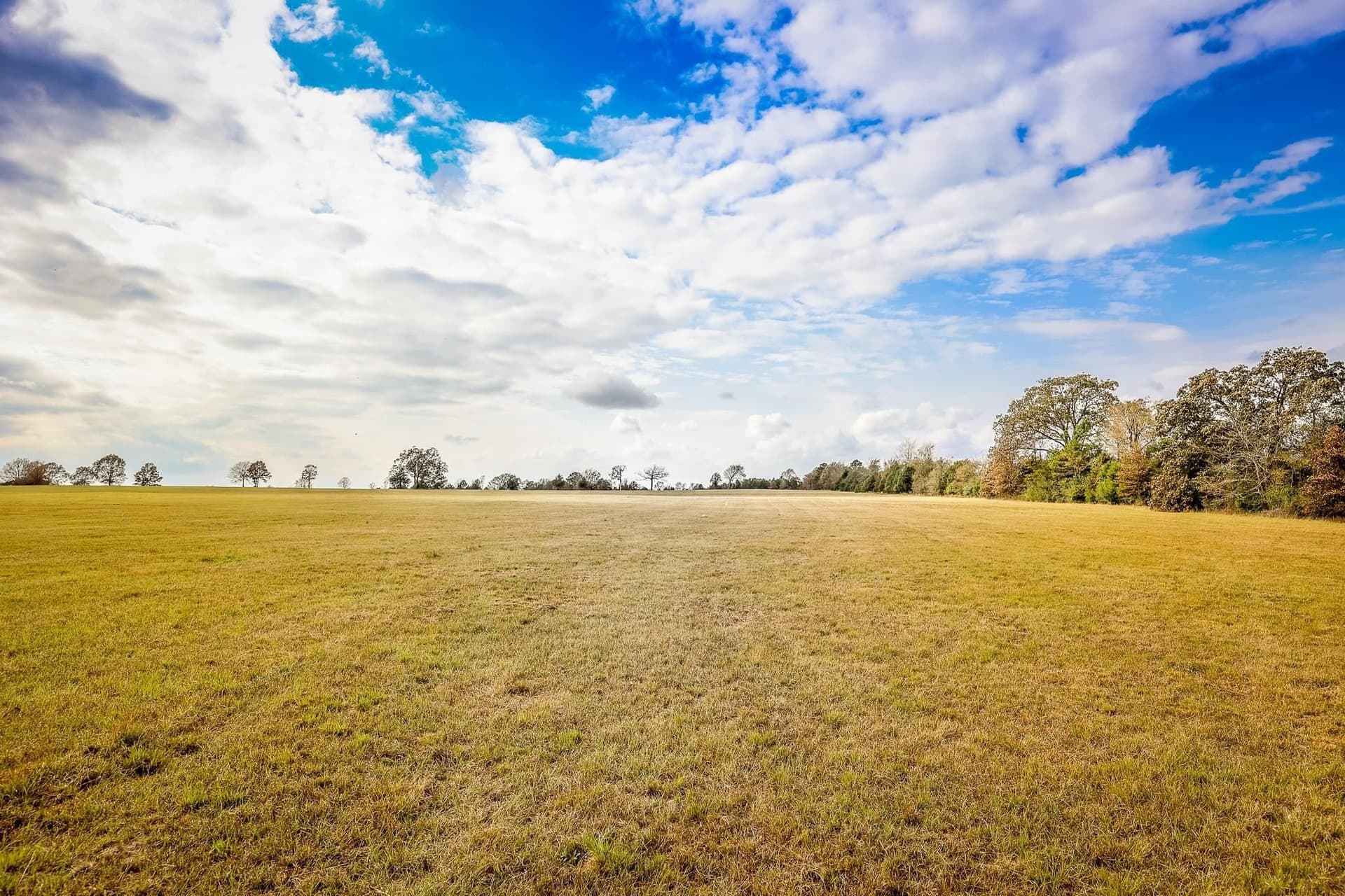 20 acres in Smith County gallery image 3