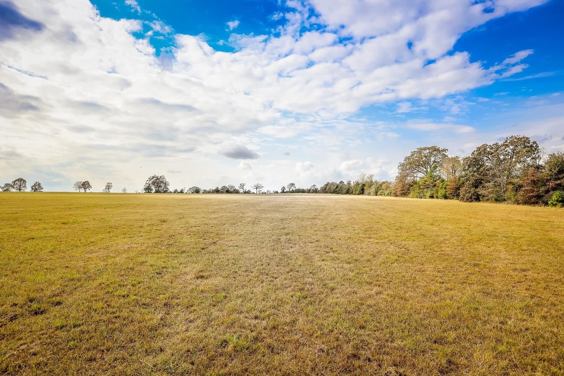 20 acres in Smith County gallery image 2