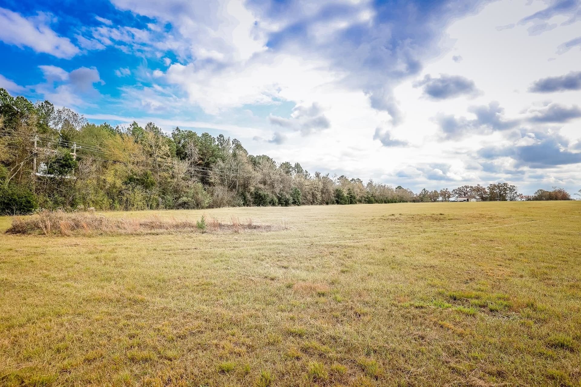 20 acres in Smith County gallery image 4