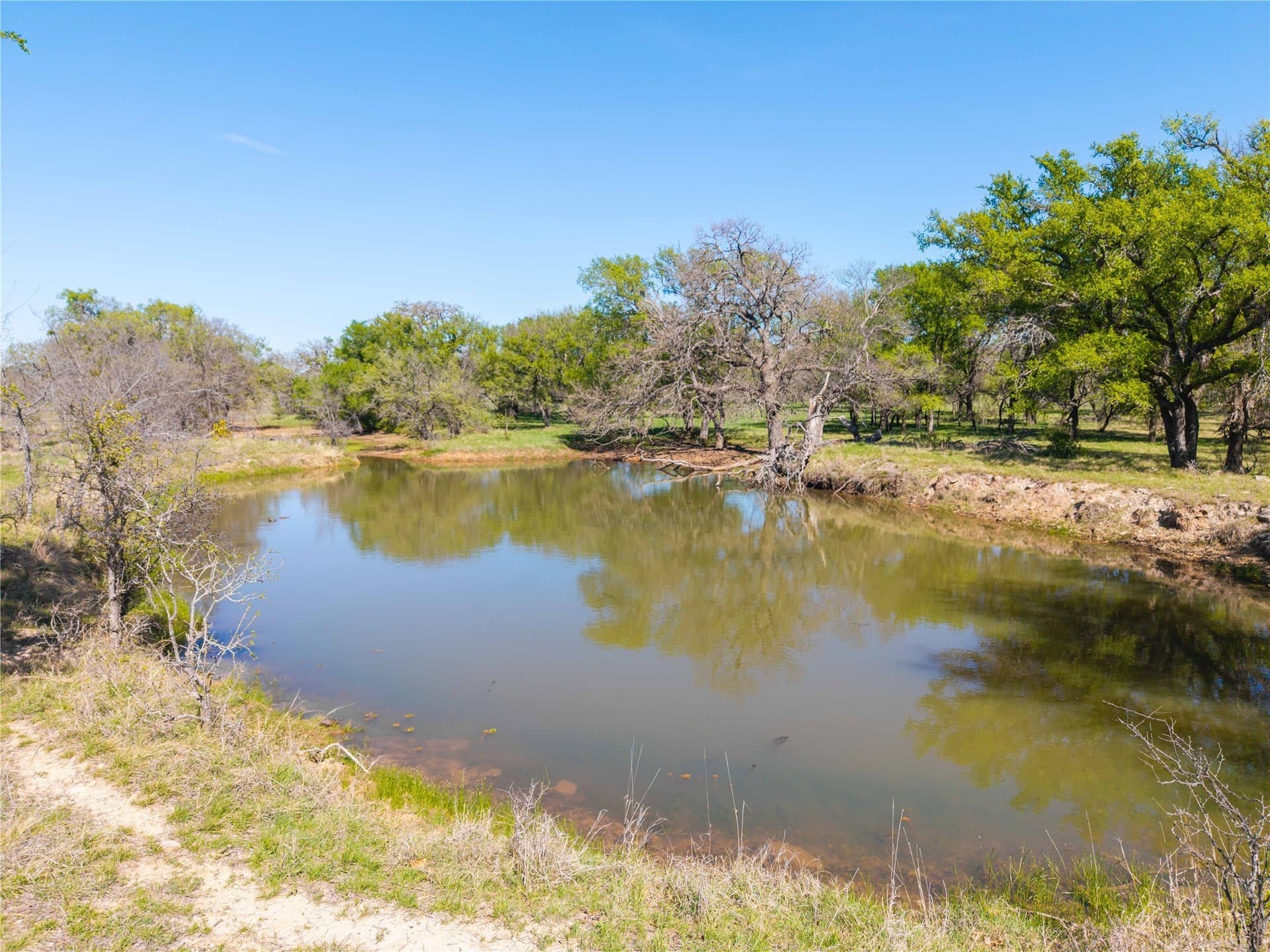 20 acres in Comanche County - photo 3