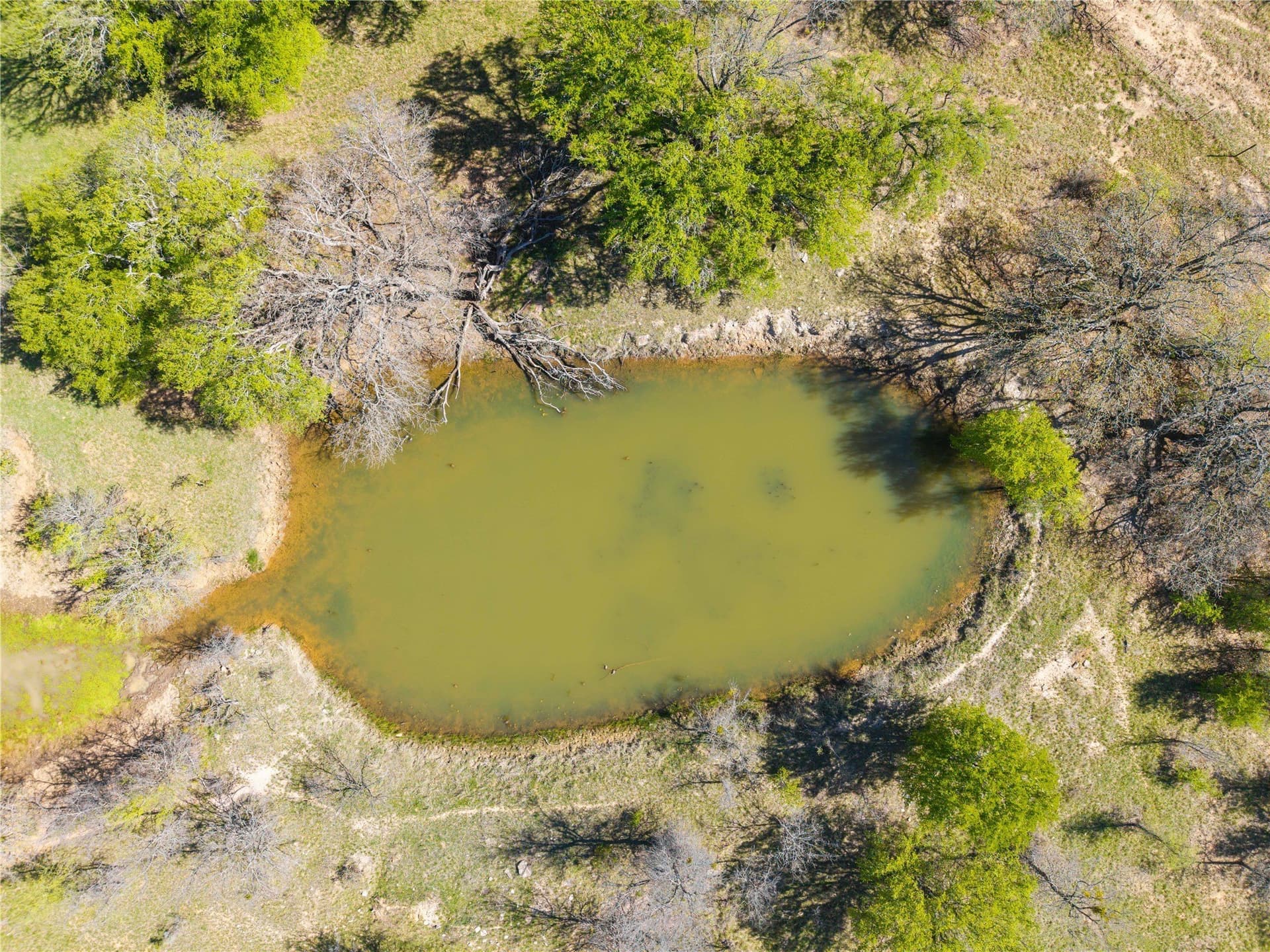 20 acres in Comanche County - photo 4
