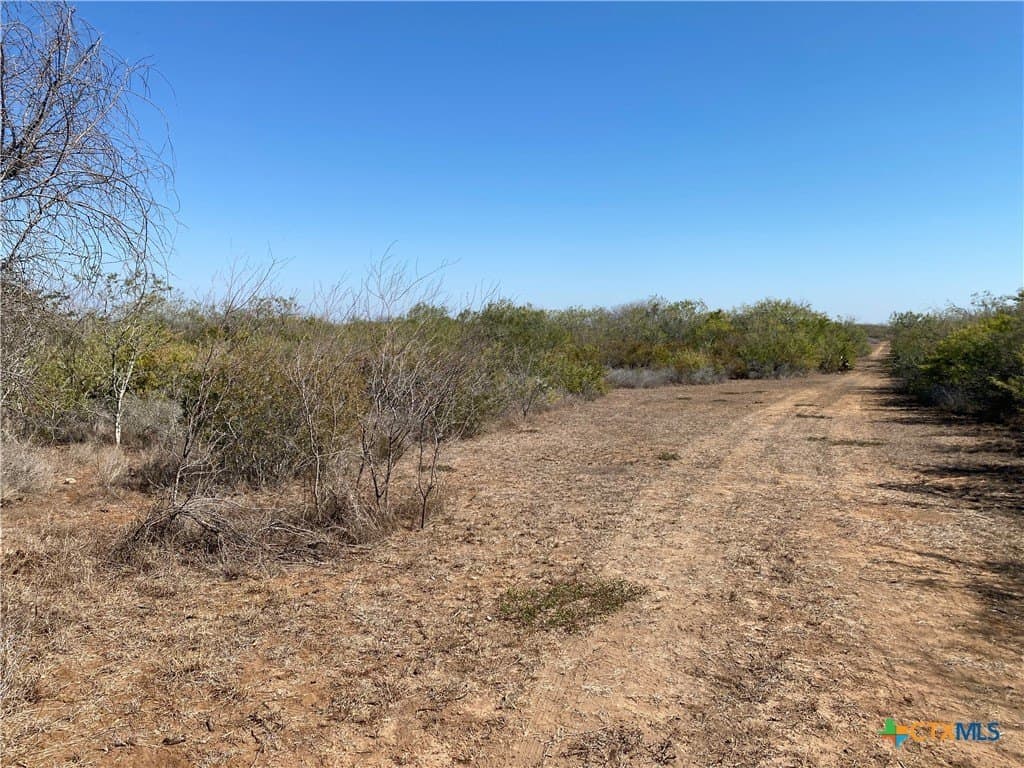 27.65 acres in Jim Wells County - photo 6