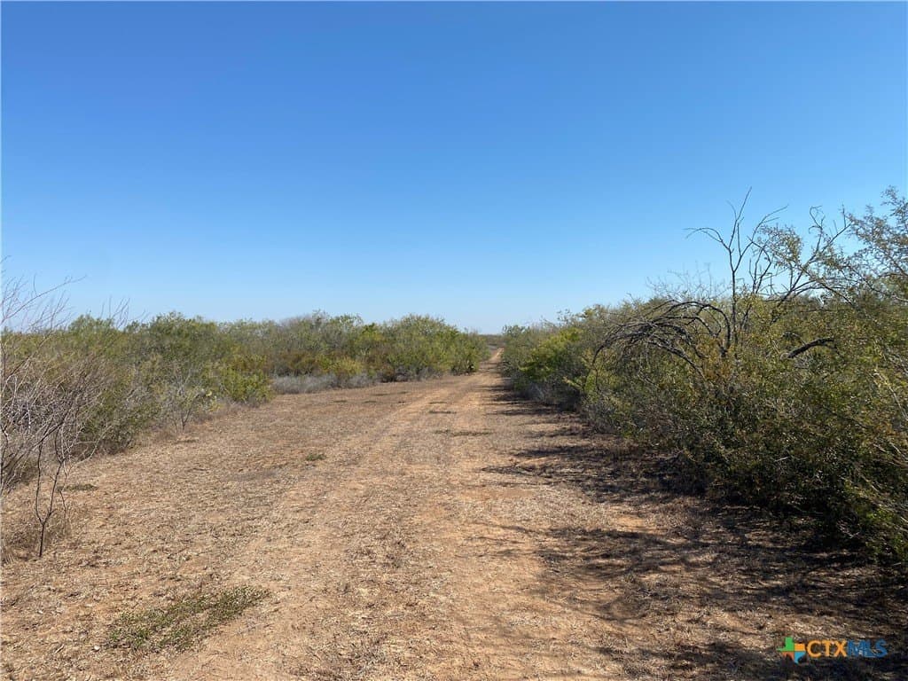 27.65 acres in Jim Wells County featured view