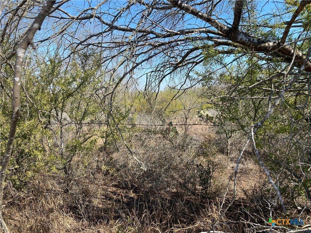 27.65 acres in Jim Wells County gallery image 2