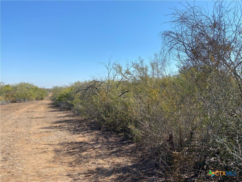 27.65 acres in Jim Wells County gallery image 4