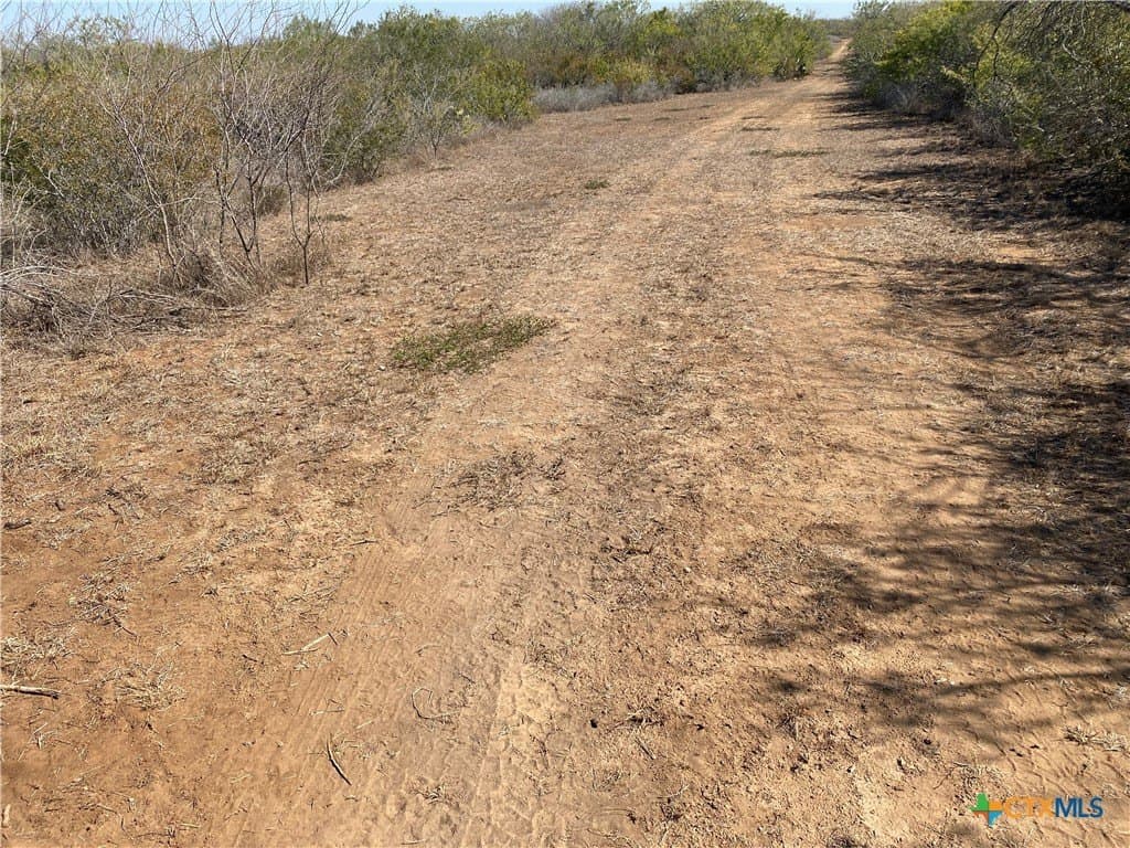 27.65 acres in Jim Wells County gallery image 3