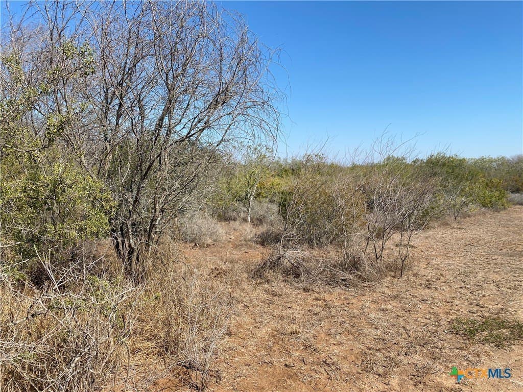 27.65 acres in Jim Wells County