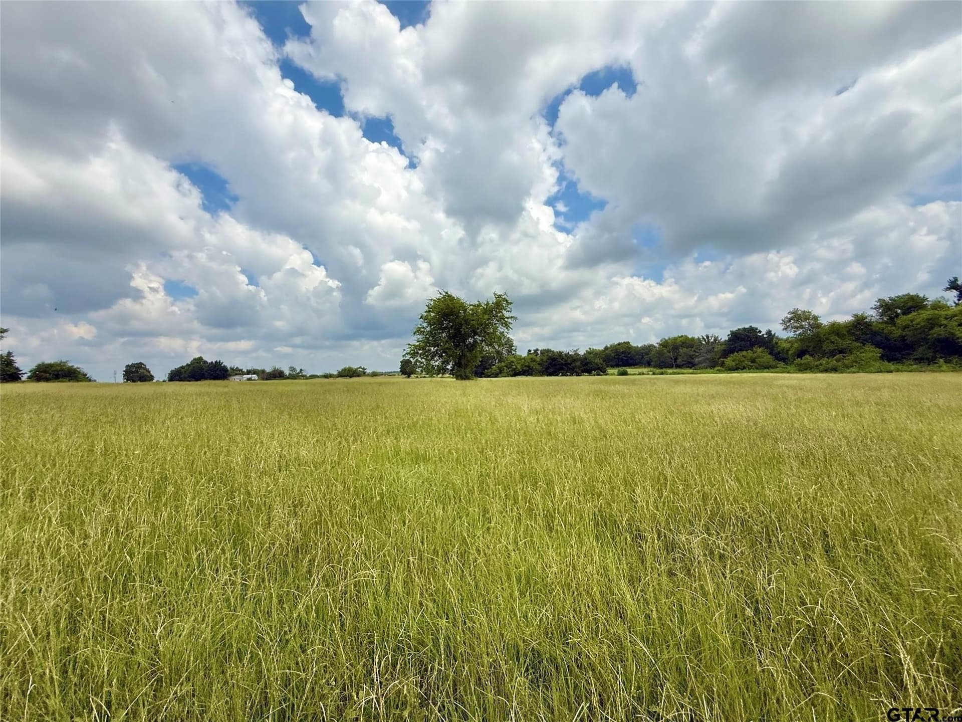 15.11 acres in Hopkins County featured view