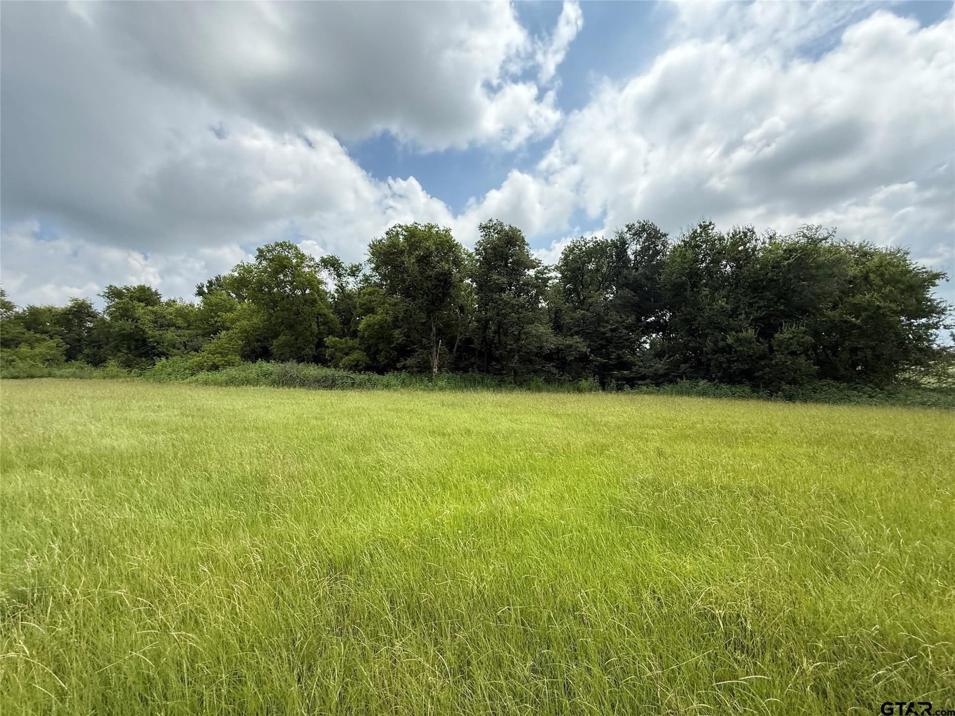 15.11 acres in Hopkins County - photo 6