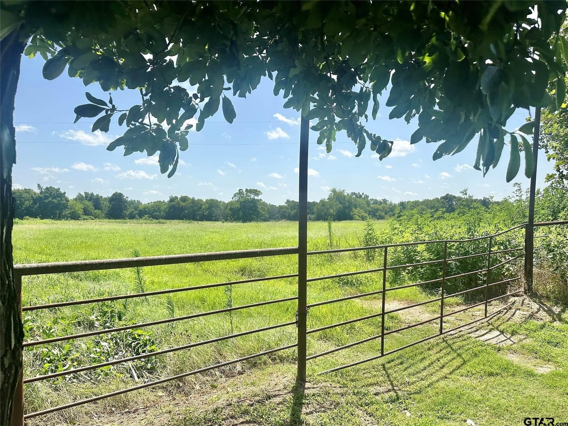 15.11 acres in Hopkins County - photo 9