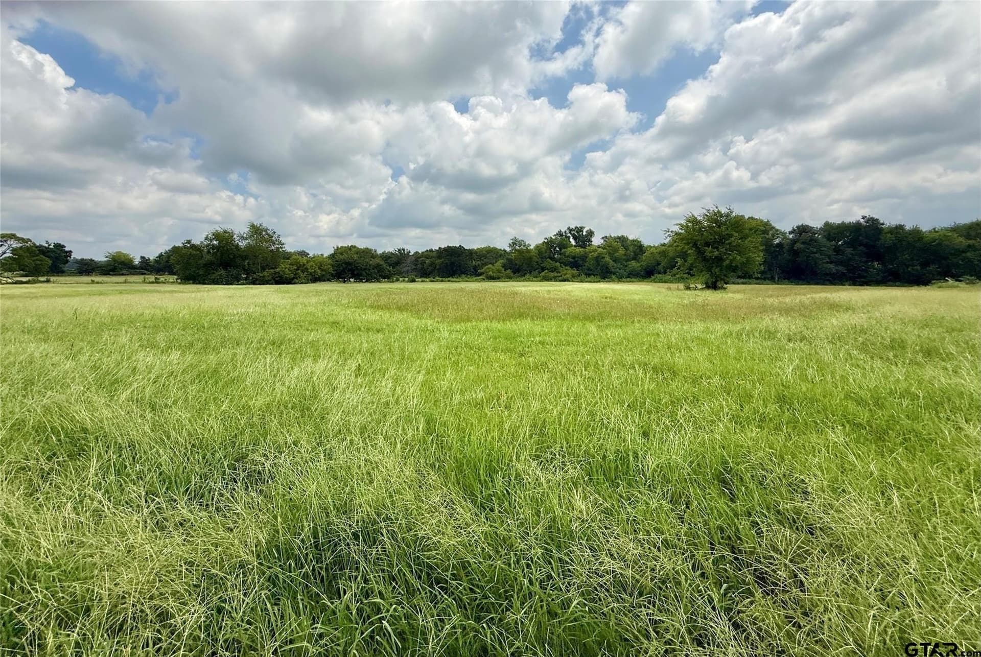 15.11 acres in Hopkins County gallery image 4