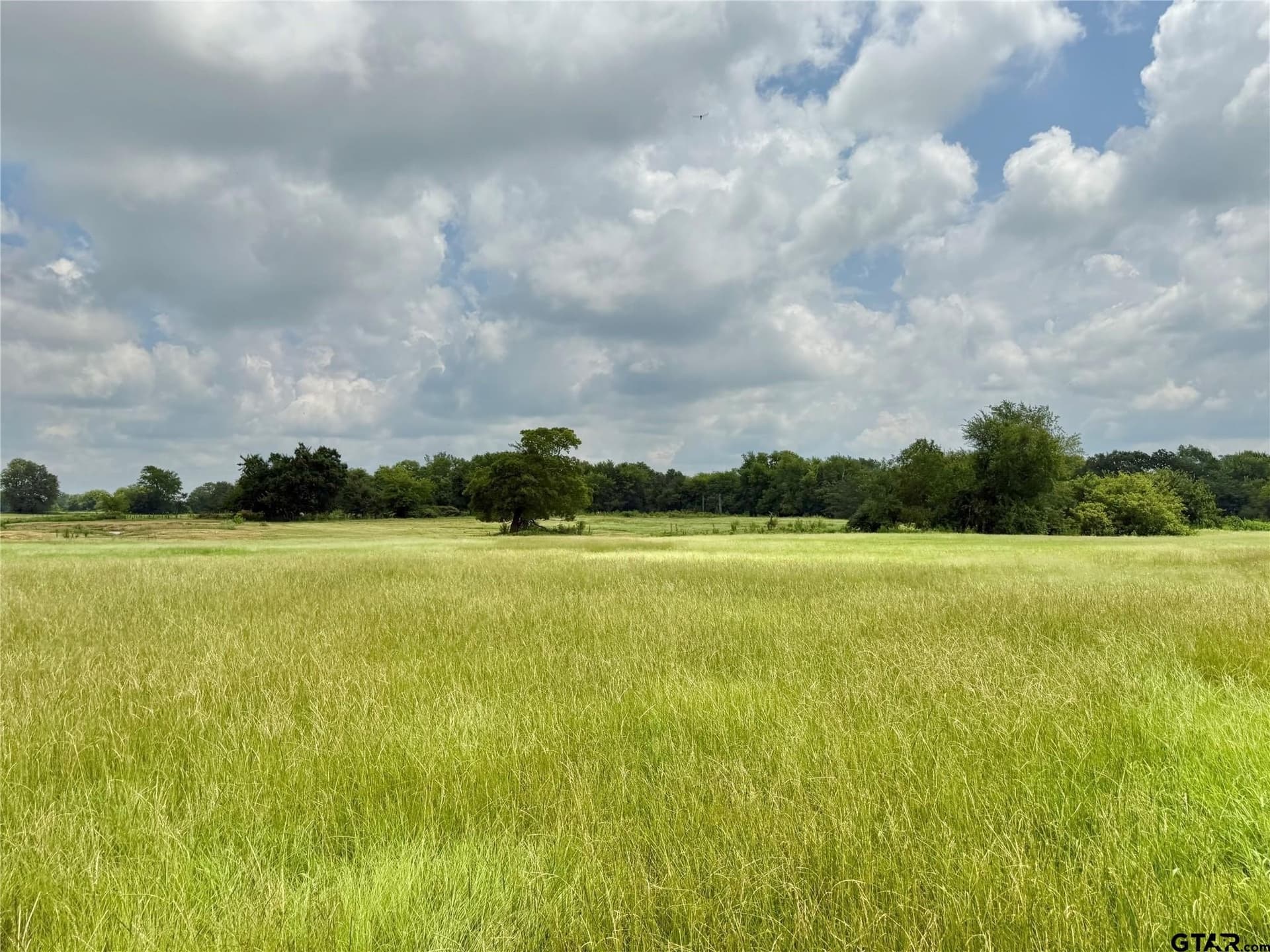 15.11 acres in Hopkins County gallery image 3
