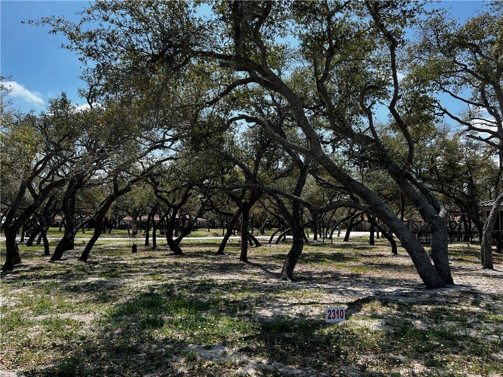 0.16 acres in Aransas County gallery image 2