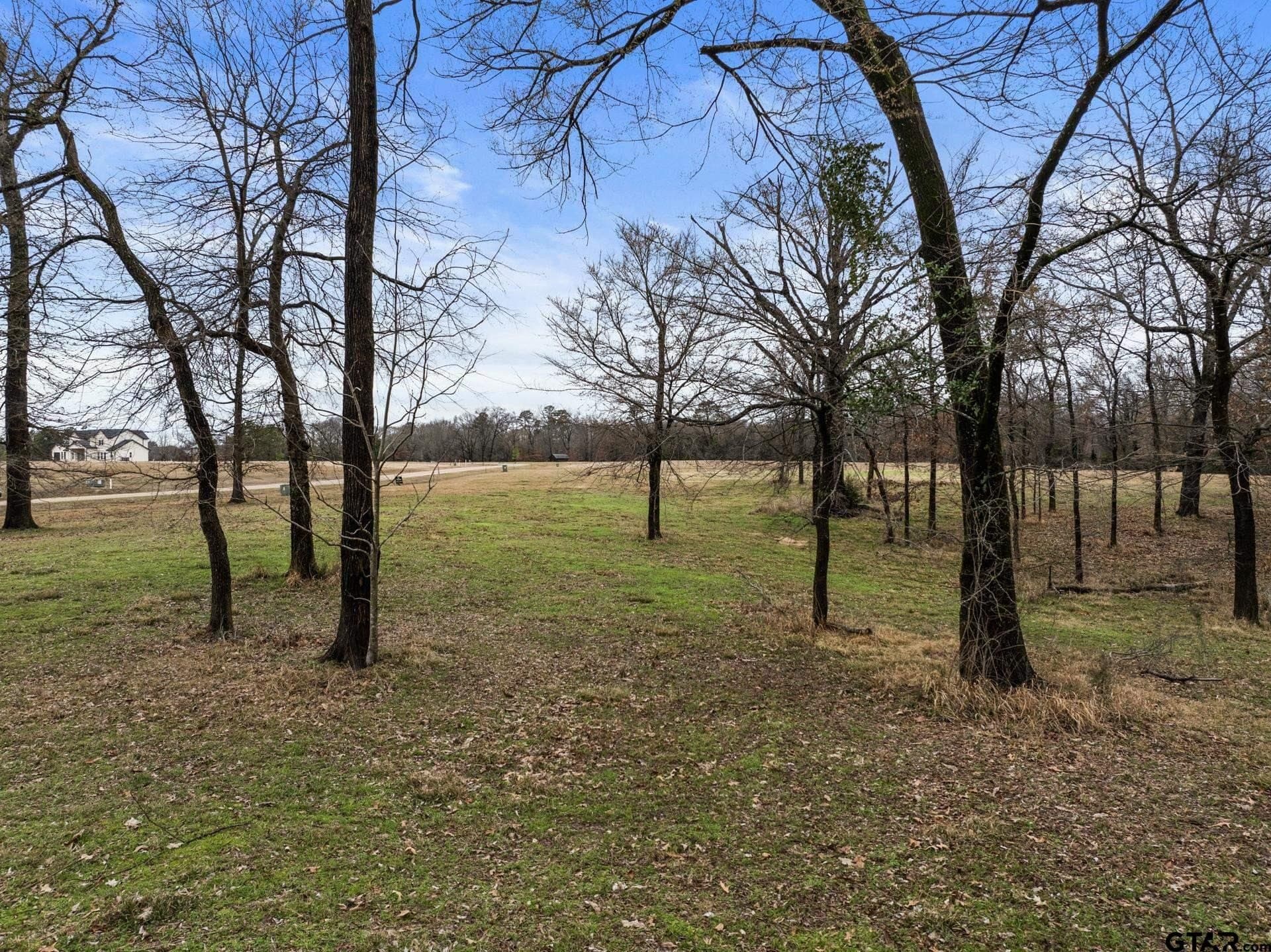 1.09 acres in Titus County gallery image 4