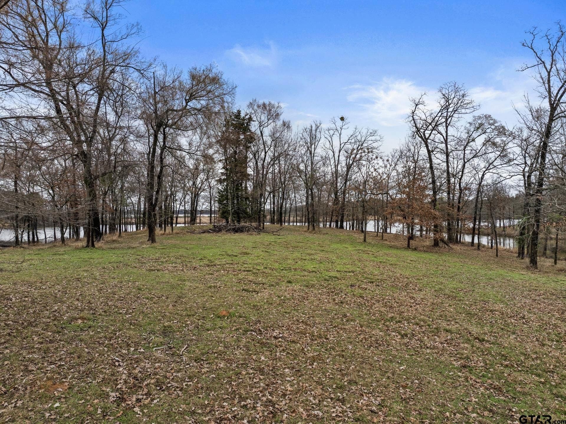 1.09 acres in Titus County gallery image 3