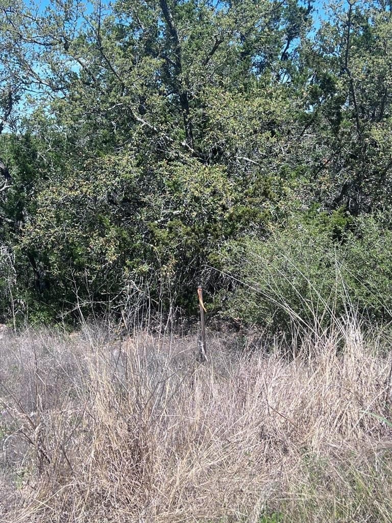 2.11 acres in Medina County - photo 6