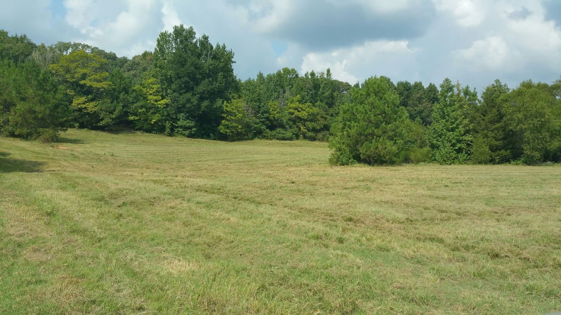 20 acres in Smith County