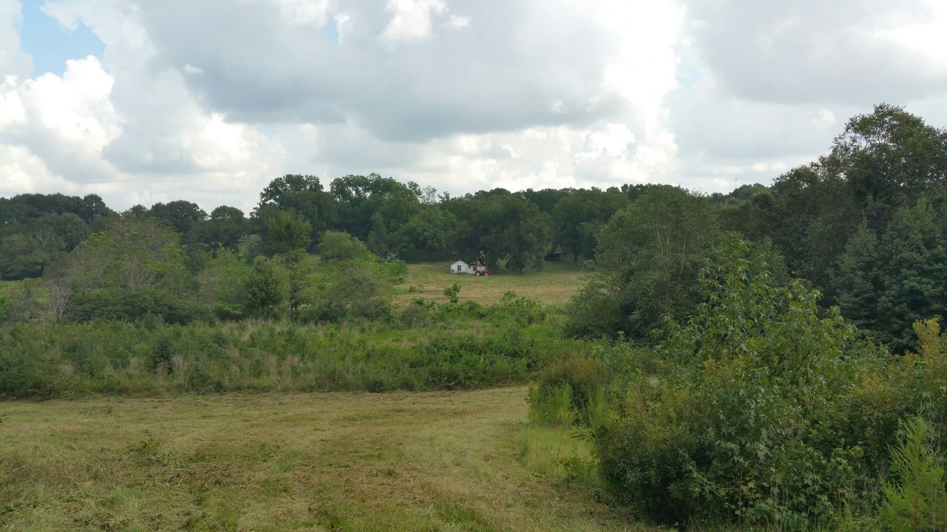 20 acres in Smith County gallery image 2