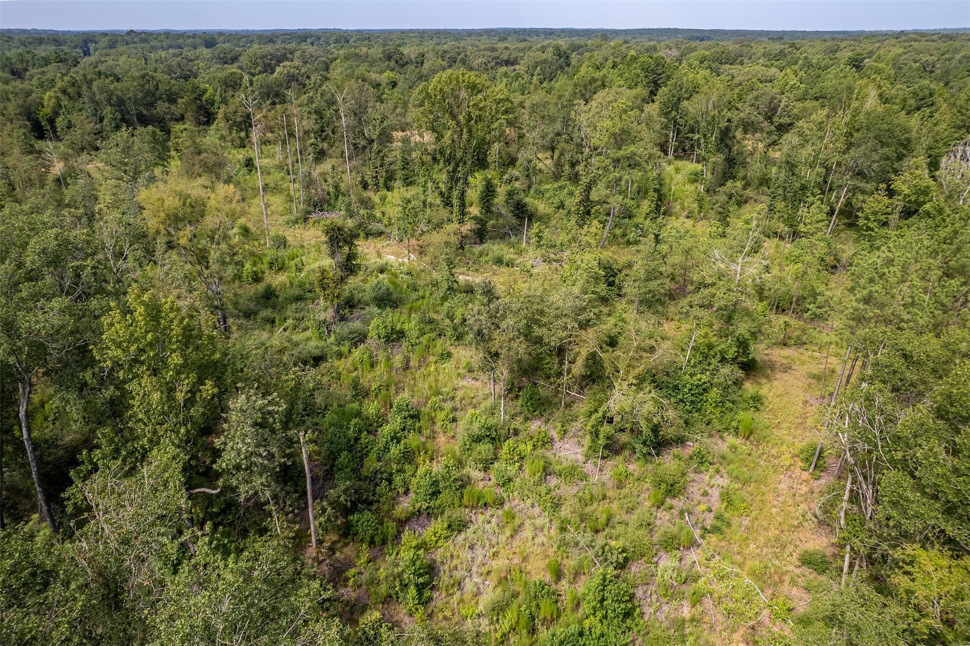 119.79 acres in Smith County - photo 37