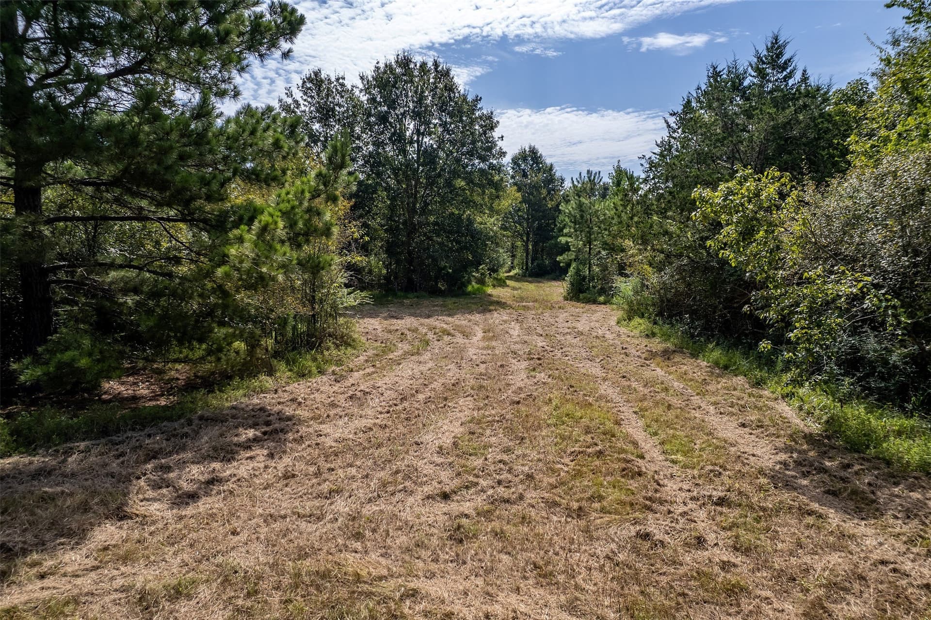 119.79 acres in Smith County gallery image 3