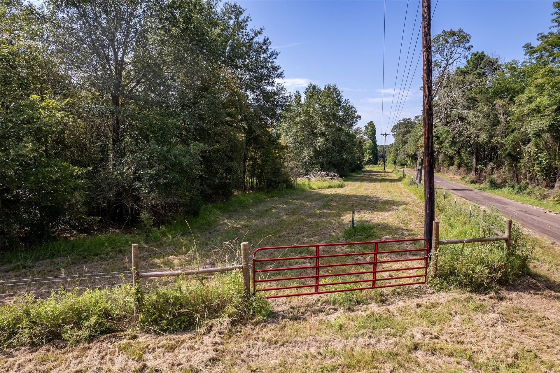 119.79 acres in Smith County gallery image 2