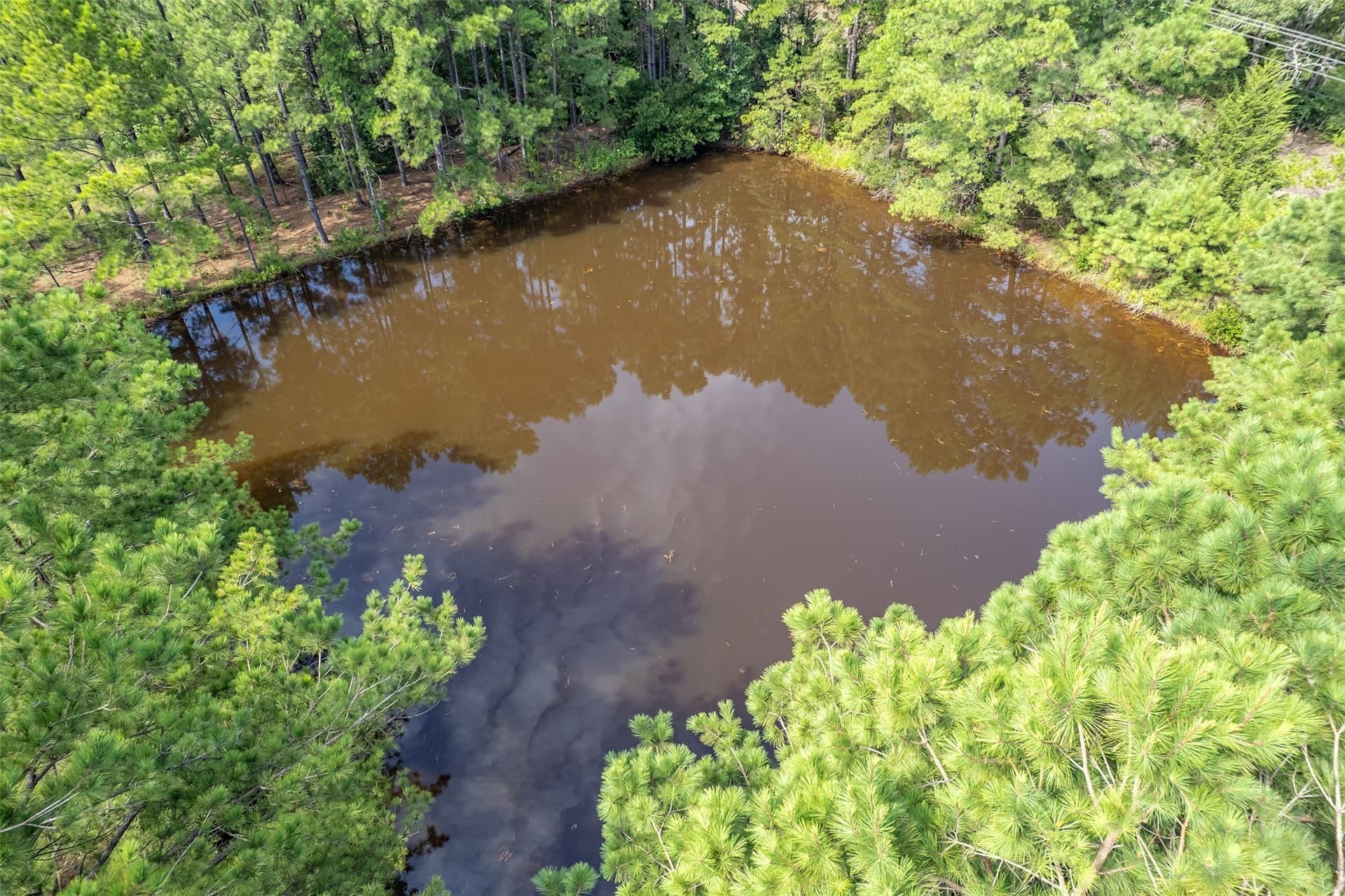 119.79 acres in Smith County - photo 8