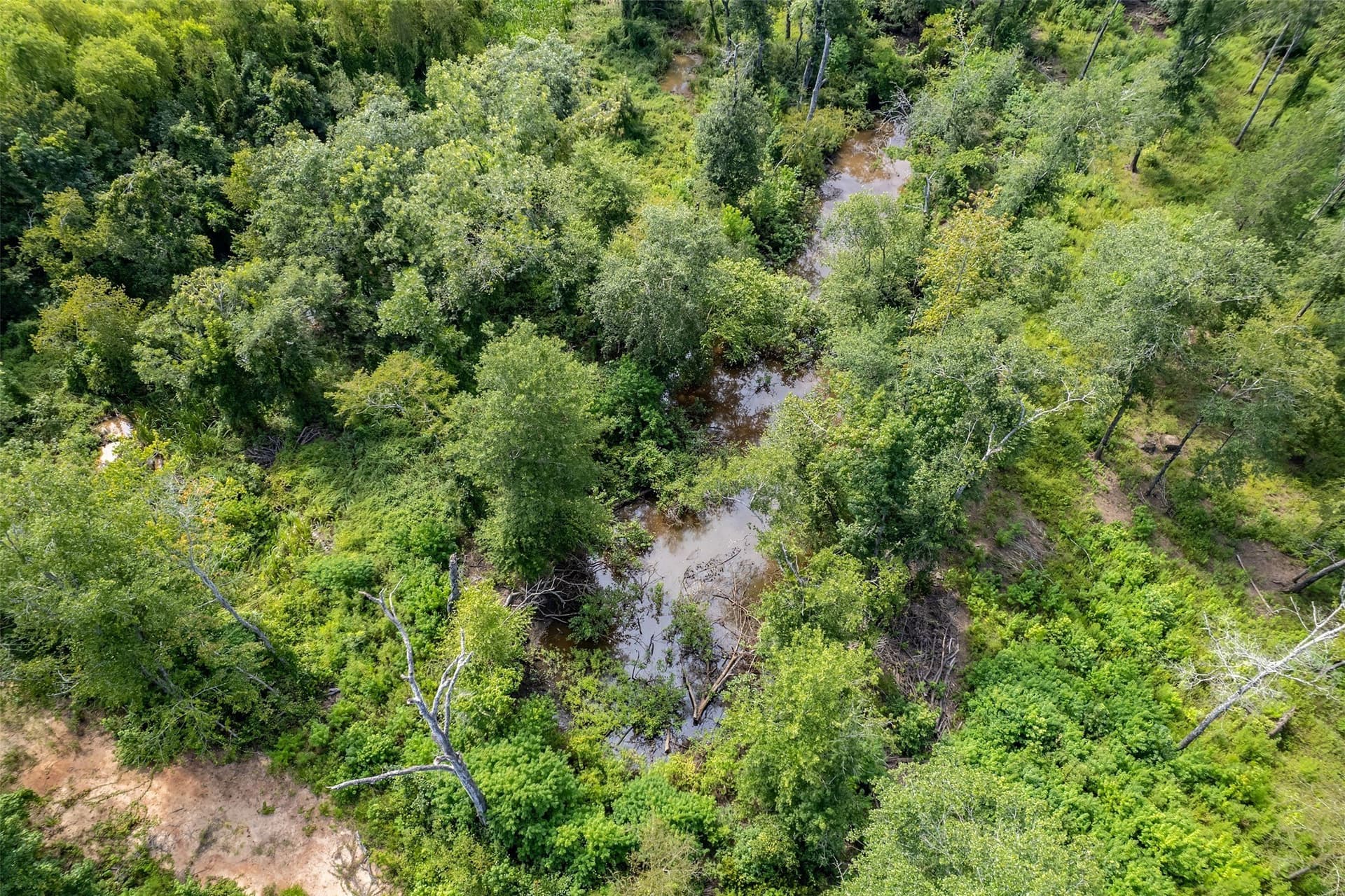 119.79 acres in Smith County - photo 32