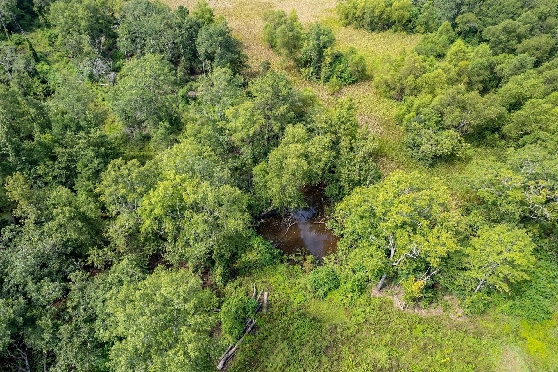 119.79 acres in Smith County - photo 33