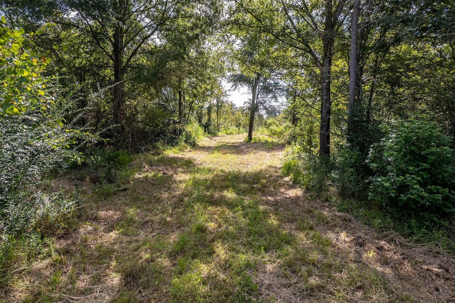 119.79 acres in Smith County - photo 6
