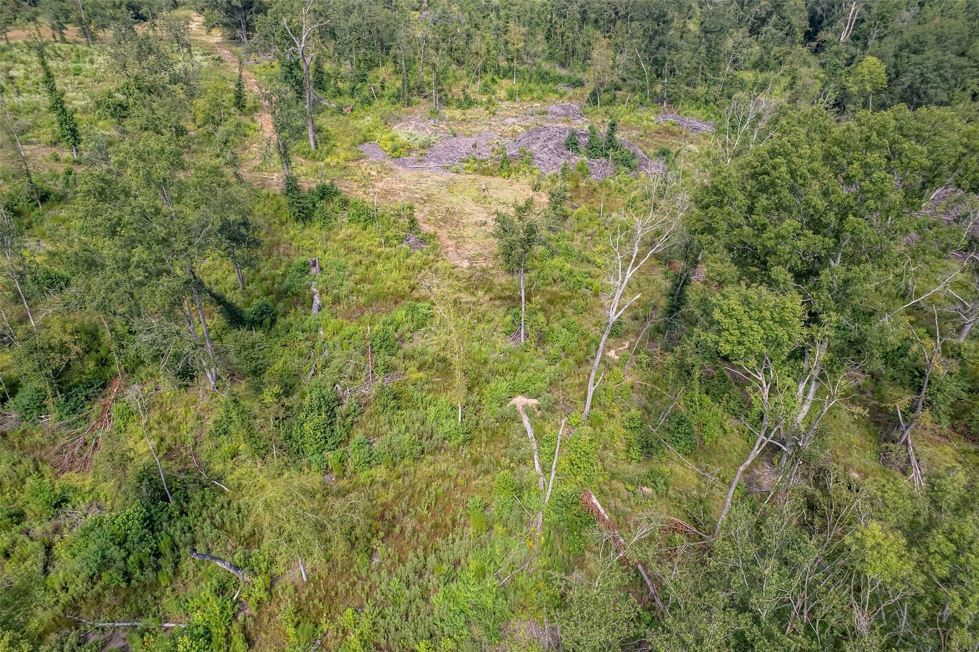 119.79 acres in Smith County - photo 36