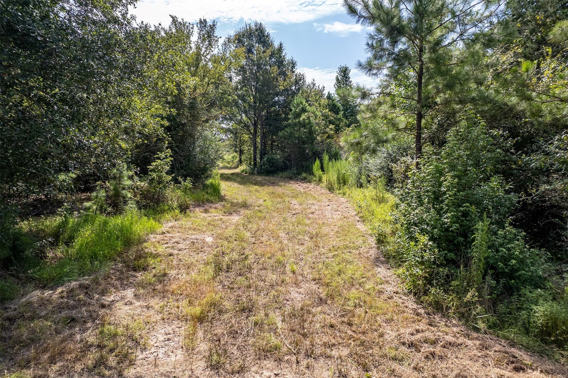 119.79 acres in Smith County featured view