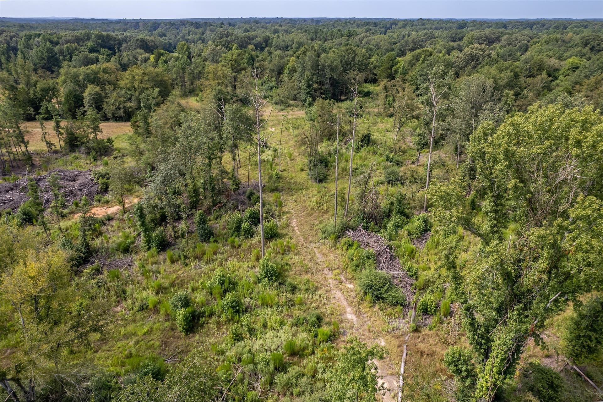 119.79 acres in Smith County - photo 38
