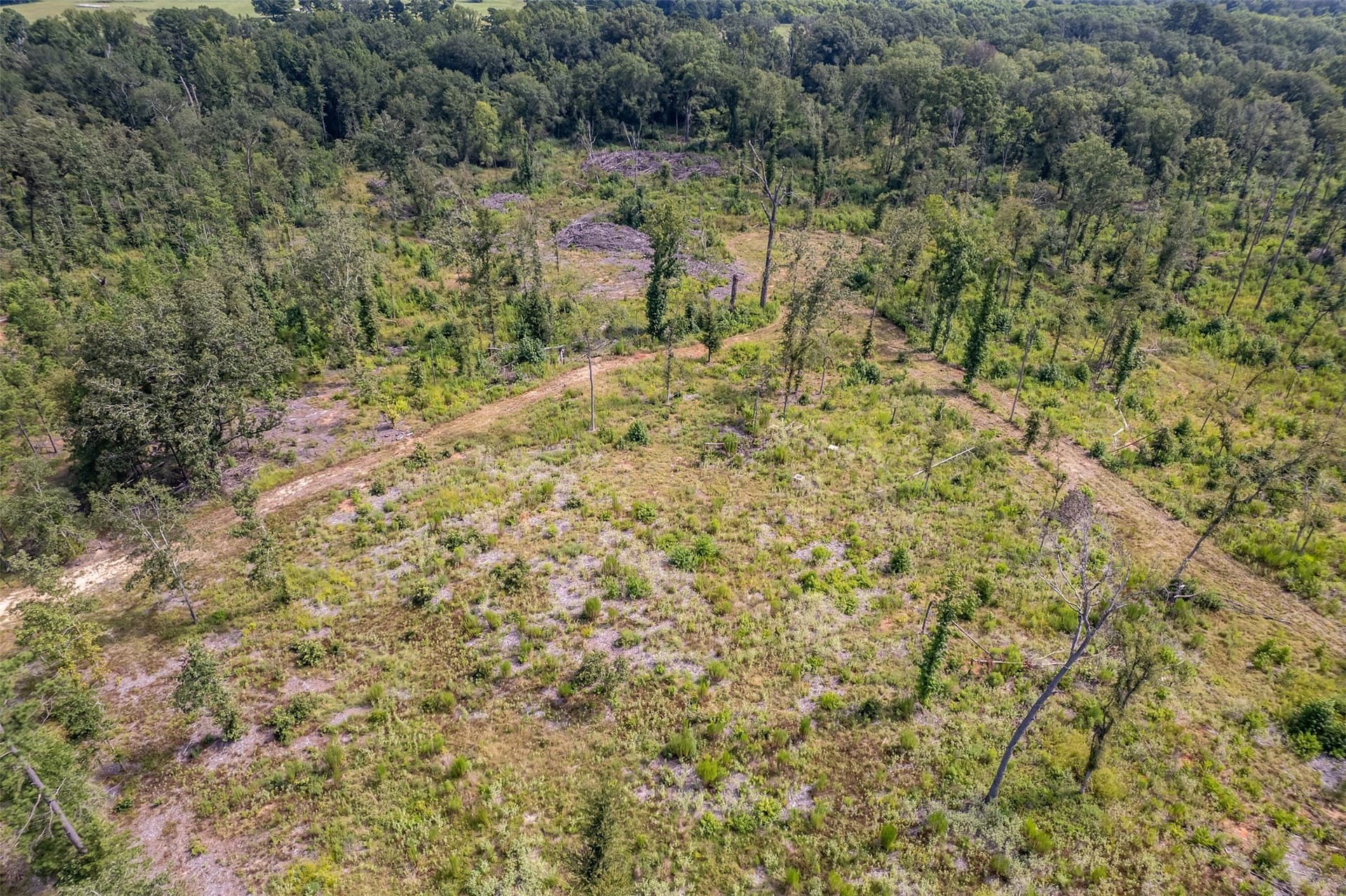 119.79 acres in Smith County - photo 15