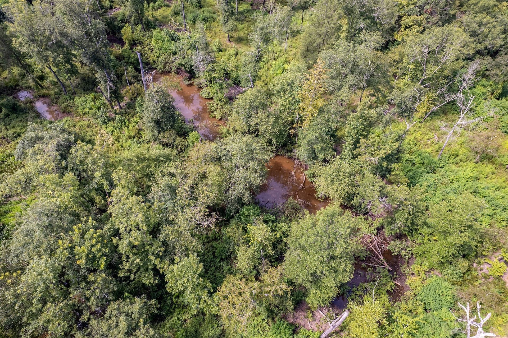 119.79 acres in Smith County - photo 31